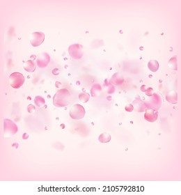 Des Pétales De Rose Volant Des Confettis. Chérie japonaise : Le cadre de pétales de rose Sakura. Motif Noble Premium à l'aquarelle. Cosmétiques En Floraison Et Arrière-Plan Floral Élégant. Windy Laisse L'Affiche Confetti.