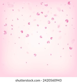 Rose Petals Flying Confetti. Falling Japanese Cherry Rose Sakura Petals Frame. Blooming Cosmetics Ad Elegant Flower Background. Windy Leaves Confetti Design. Beautiful Rich VIP Pastel Texture.