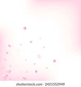 Rose Petals Flying Confetti. Falling Japanese Sakura Cherry Rose Petals Banner. Windy Leaves Confetti Border. Beautiful Rich VIP Watercolor Pattern. Blooming Cosmetics Ad Female Floral Background.