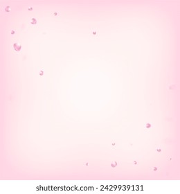 Pétalos de rosa, confeti volador. Diseño de pétalos de cerezo Sakura Rose Falling japonés. Cosméticos Florecientes Y Fondo Floral Femenino. Textura mágica premium elegante. Marco de confeti de hojas ventosas.