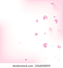 Rose Petals Flying Confetti. Falling Japanese Cherry Rose Sakura Petals Frame. Blooming Cosmetics Ad Female Flower Background. Beautiful Premium Pastel Texture. Windy Leaves Confetti Border.