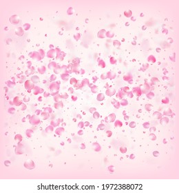 Rose Petals Flying Confetti. Female Premium Pastel Texture. Blooming Cosmetics Ad Noble Flower Background. Windy Leaves Confetti Design. Flying Japanese Rose Sakura Cherry Petals Banner.