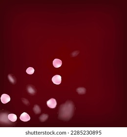 Rose Petals Flying Confetti. Female Rich VIP Feminine Texture. Blooming Cosmetics Ad Beautiful Floral Background. Windy Leaves Confetti Banner. Flying Japanese Rose Cherry Sakura Petals Frame.