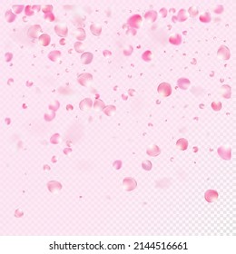 Rose Petals Flying Confetti. Flying Japanese Rose Sakura Cherry Petals Frame. Beautiful Rich VIP Tender Texture. Blooming Cosmetics Ad Female Floral Background. Windy Leaves Confetti Poster.