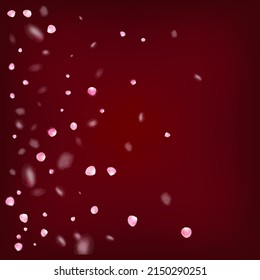 Rose Petals Flying Confetti. Flying Japanese Sakura Cherry Rose Petals Border. Elegant Rich VIP Feminine Texture. Blooming Cosmetics Ad Noble Flower Background. Windy Leaves Confetti Frame.