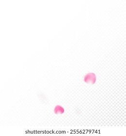 Rose Petals Flying Confetti. Flying Japanese Cherry Sakura Rose Petals Poster. Windy Leaves Confetti Border. Beautiful Premium Watercolor Texture. Blooming Cosmetics Ad Female Flower Background.
