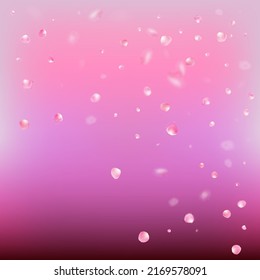 Rose Petals Flying Confetti. Noble Rich VIP Watercolor Texture. Blooming Cosmetics Ad Female Flower Background. Flying Japanese Sakura Rose Cherry Petals Poster. Windy Leaves Confetti Banner.
