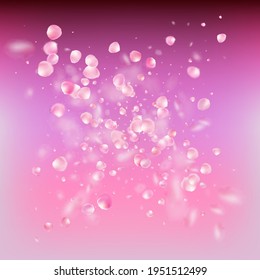 Rose Petals Flying Confetti. Windy Leaves Confetti Poster. Falling Japanese Sakura Rose Cherry Petals Border. Elegant Premium Pastel Pattern. Blooming Cosmetics Ad Female Floral Background.