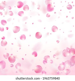 Rose Petals Flying Confetti. Windy Leaves Confetti Frame. Flying Japanese Cherry Rose Sakura Petals Poster. Blooming Cosmetics Ad Beautiful Floral Background. Female Premium Tender Pattern.