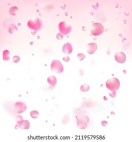 Rose Petals Flying Confetti. Windy Leaves Confetti Border. Noble Rich VIP Magic Texture. Blooming Cosmetics Ad Elegant Floral Background. Falling Japanese Sakura Cherry Rose Petals Poster.