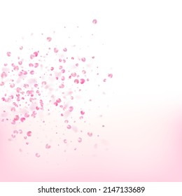 Pétalos De Rosa Volando Confetti. Windy Deja El Diseño Confetti. Cosméticos Florecientes Y Hermoso Fondo Floral. El marco de los pétalos de cerezo de rosa japonés volador, Sakura. Patrón Femenino Premium Femenino.