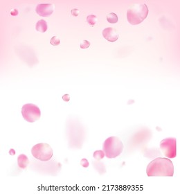 Rose Petals Flying Confetti. Windy Leaves Confetti Banner. Falling Japanese Cherry Sakura Rose Petals Poster. Blooming Cosmetics Ad Beautiful Floral Background. Noble Rich VIP Tender Pattern.