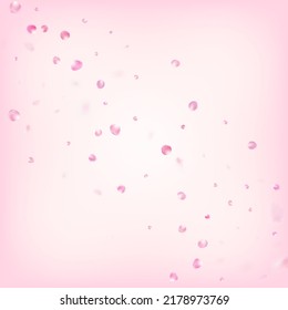 Rose Petals Flying Confetti. Windy Leaves Confetti Poster. Noble Rich VIP Feminine Texture. Blooming Cosmetics Ad Beautiful Floral Background. Flying Japanese Sakura Cherry Rose Petals Border.