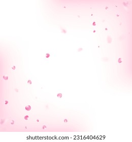 Pétalos De Rosa Volando Confetti. Windy Deja La Pancarta Confetti. El diseño de los pétalos de cerezo Rose Sakura en Japón está cayendo. Cosméticos Florecientes Y Fondo Floral Femenino. Textura Femenina Noble Premium.