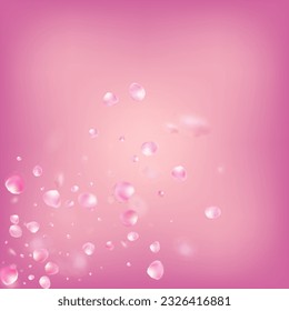 Rose Petals Flying Confetti. Windy Leaves Confetti Frame. Noble Premium Watercolor Pattern. Flying Japanese Cherry Sakura Rose Petals Design. Blooming Cosmetics Ad Female Floral Background.