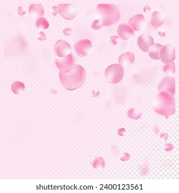 Rose Petals Flying Confetti. Windy Leaves Confetti Frame. Falling Japanese Rose Sakura Cherry Petals Poster. Beautiful Premium Magic Pattern. Blooming Cosmetics Ad Noble Flower Background.