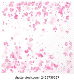 Rose Petals Flying Confetti. Windy Leaves Confetti Frame. Elegant Premium Pastel Pattern. Blooming Cosmetics Ad Female Floral Background. Falling Japanese Rose Cherry Sakura Petals Banner.