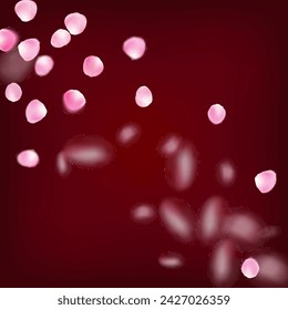 Rose Petals Flying Confetti. Windy Leaves Confetti Poster. Flying Japanese Cherry Rose Sakura Petals Frame. Female Rich VIP Watercolor Texture. Blooming Cosmetics Ad Noble Flower Background.