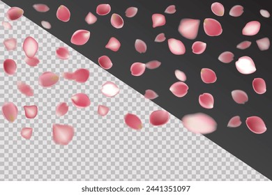 rose petals flying in realistic vector