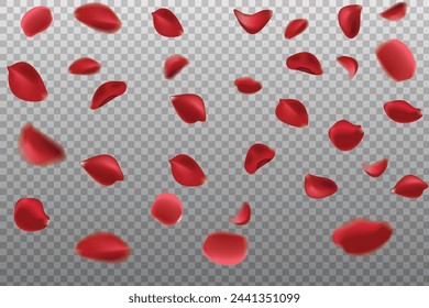 rose petals flying in realistic vector