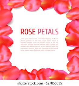 Rose petals frame