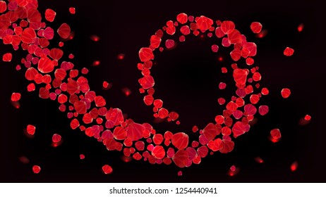 Rose petals magic vortex trail. Spiral stream of falling and flying petals. Decoration elements for fashion, modern and glamour image. Valentine's day and wedding concept background. Vector template