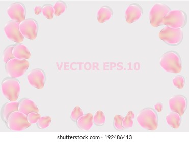 Rose petals on the beige background. Vector illustration.