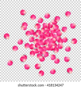 rose petals on a transparent background