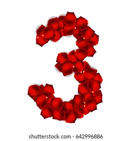 Rose Petals Realistic Number Vector Illustration EPS10