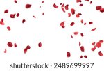 Rose petals or sakura flying petals, romantic background with realistic pink cherry flower petals flow or falling motion. Love, romance, floral spring season

