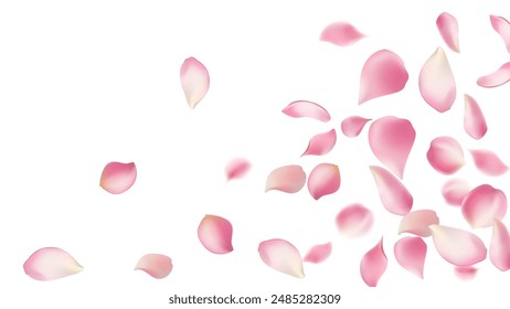 Rose petals or sakura flying petals, romantic background with realistic pink cherry flower petals flow or falling motion. Love, romance, floral spring season,cherry blossom