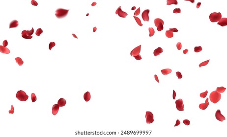 Rose petals or sakura flying petals, romantic background with realistic pink cherry flower petals flow or falling motion. Love, romance, floral spring season

