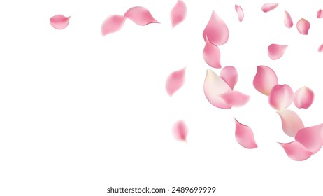 Rose petals or sakura flying petals, romantic background with realistic pink cherry flower petals flow or falling motion. Love, romance, floral spring season,cherry blossom