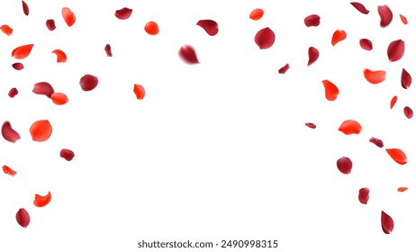 Rose petals or sakura flying petals, romantic background with realistic pink cherry flower petals flow or falling motion. Love, romance, floral spring season

