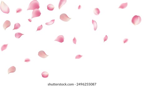 Rose petals or sakura flying petals, romantic background with realistic pink cherry flower petals flow or falling motion. Love, romance, floral spring season,cherry blossom