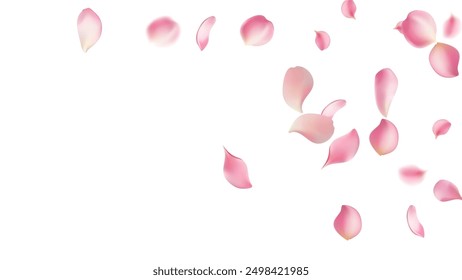 Pétalos de rosa o pétalos voladores sakura, fondo romántico con pétalos de flores de cerezo rosa realistas fluyen o caen movimiento. Amor, romance, floral primavera, flor de cerezo