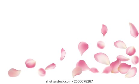 Rose petals or sakura flying petals, romantic background with realistic pink cherry flower petals flow or falling motion. Love, romance, floral spring season,cherry blossom