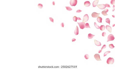 Rose petals or sakura flying petals, romantic background with realistic pink cherry flower petals flow or falling motion. Love, romance, floral spring season,cherry blossom