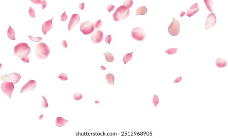 Pétalas de rosa ou pétalas voadoras de sakura, fundo romântico com pétalas de cereja rosa realista fluem ou movimento caindo. Amor, romance, floral primavera temporada, cereja flor