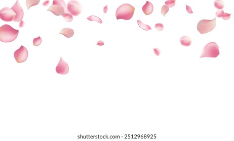 Rose petals or sakura flying petals, romantic background with realistic pink cherry flower petals flow or falling motion. Love, romance, floral spring season,cherry blossom