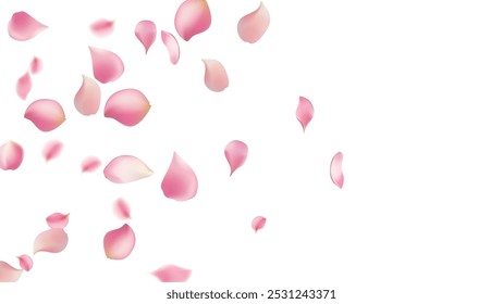 Rose petals or sakura flying petals, romantic background with realistic pink cherry flower petals flow or falling motion. Love, romance, floral spring season,cherry blossom