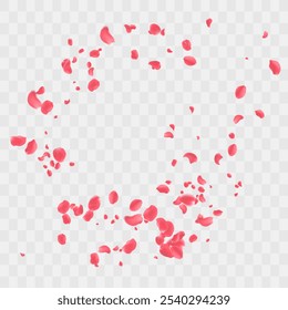 Rose petals or sakura flying petals, romantic background with realistic pink cherry flower petals flow or falling motion. Love, romance, floral spring season

