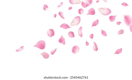 Rosenblätter oder Sakura fliegende Blütenblätter, romantischer Hintergrund mit realistischen rosa Kirschblütenblättern fließen oder fallen Bewegung. Liebe, Romantik, Blumenfrühlingssaison, Kirschblüte