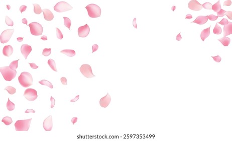 Rose petals or sakura flying petals, romantic background with realistic pink cherry flower petals flow or falling motion. Love, romance, floral spring season,cherry blossom
