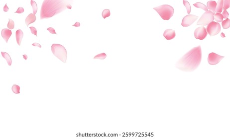 Rose petals or sakura flying petals, romantic background with realistic pink cherry flower petals