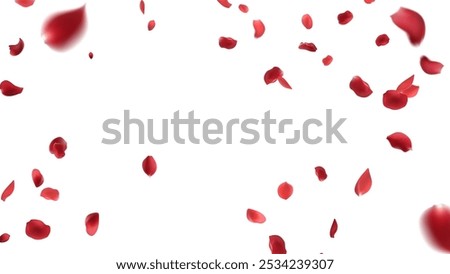 Rose petals or sakura flying petals, romantic background with realistic pink cherry flower petals flow or falling motion. Love, romance, floral spring season


