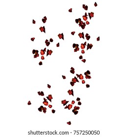 rose petals scattered, colored drawing vector graphics