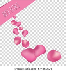 Rose Petals. Vector Illustration.
