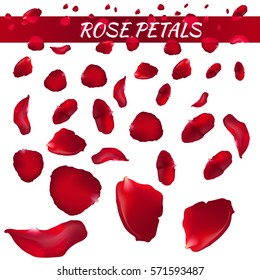 Rose Petals. Vector Illustration. Red.
