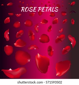 Rose Petals. Vector Illustration. Red.